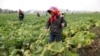 Signs of Need, Progress in N. Korea