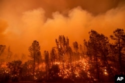 The Carr Fire burns along Highway 299 in Redding, Calif., July 26, 2018.