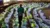 Did Data Mining Influence Kenya’s Annulled Election?