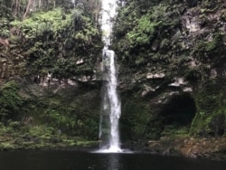 Air terjun Aek Bulu Poltak di dalam ekosistem Batang Toru, Sumatra Utara, 12 Maret 2019. (Anugrah Andriansyah)