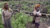 FILE - Using rudimentary methods, small-scale farmers eke out a living in Gabon.