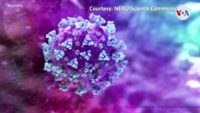 Alarma mundial por nueva cepa de coronavirus