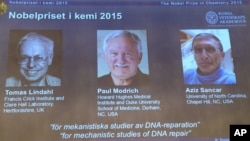 Panitia hadiah Nobel mengumumkan para peraih hadiah Nobel Kimia tahun ini, dalam konferensi pers di Stockhlm, 7 Oktober 2015. Dari kiri: Tomas Lindahl (Swedia), Paul Modrich (AS), Aziz Sancar (Turki).