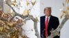Impeachment Process Divides Global Opinion, but Shows Democracy in Action