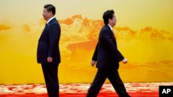 Japan's Prime Minister Shinzo Abe (R) walks past Chinese President Xi Jinping during a welcome ceremony for the Asia-Pacific Economic Cooperation (APEC) summit at the International Convention Center in Yanqi Lake, Beijing, China.