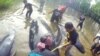 Puluhan Paus Pilot Terdampar di Pantai Probolinggo