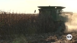 US farmers hope agriculture secretary pick guides tariff, farm bill legislation
