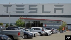 Seorang pria (mengenakan masker) berjalan di pelataran pabrik Tesla di Fremont, California, 11 Mei 2020. 