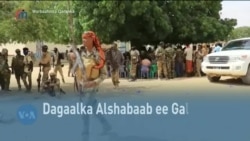 Qubanaha VOA