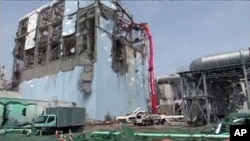 日本福岛核电站4号反应堆