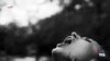 16x9 Image