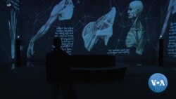 Leonardo Exhibit Casts New Light on Artist