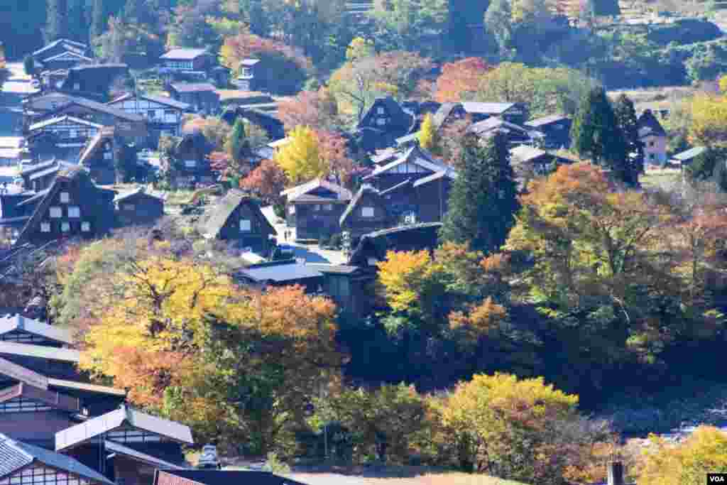 日本白川鄉秋色。(美國之音湯惠芸攝)