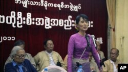 昂山素姬向全國民主聯盟的成員發表有關選舉的講話