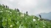 United Nations Reviews Global War on Drugs