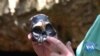 Fossil Discovery Offers More Evidence of Ritualistic Behavior by Extinct Hominins