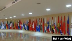 上議院聯邦委員會中所懸掛的俄羅斯各地區的旗幟。（美國之音白樺拍攝） 