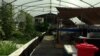 การเกษตรผสมผสานแบบใหม่ที่เรียกว่าอาคัวโพนิกส์ (Aquaponics) เป็นการเลี้ยงปลาควบคู่ไปกับการปลูกผักลอยน้ำและกำลังได้รับความสนใจในอเมริกา 