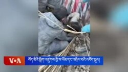 བོད་མིའི་སྒྲིག་འཛུགས་ཀྱིས་ས་ཡོམ་དང་འབྲེལ་བའི་འབོད་སྐུལ།
