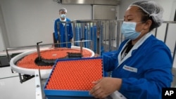 Seorang pekerja sedang memproduksi Vaksin SARS CoV-2 untuk Covid-19 di pabrik vaksin SinoVac di Beijing. (Foto: AP)