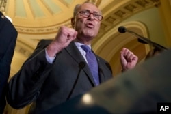 FILE - Senate Minority Leader Chuck Schumer of New York speaks at a news conference on Capitol Hill in Washington, July 18, 2017.
