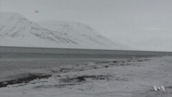 Huge Arctic Temperature Spike May Be Linked to Europe Cold Snap
