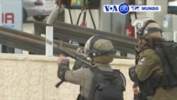 Manchetes Mundo 7 Dezembro 2017: Protestos na Cisjordânia