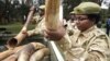 Kenyan Anti-Poaching Laws May Get Overhaul
