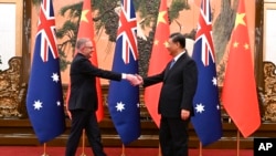 澳大利亚总理安东尼·阿尔巴尼斯（Anthony Albanese）2023年11月6日在北京会见中国国家主席习近平。（美联社）