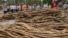 Cambodia Accused Vietnam of Systematic Logging Fraud