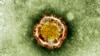 Virus Mirip SARS Menyebar Antar Manusia