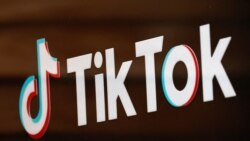 TikTok要打擊美國中期選舉虛假信息？專家指夠嗆