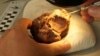 Hard-headed: Prehistoric Texas Reptile Boasted Bony Domed Skull