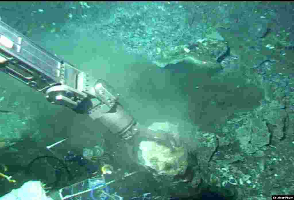 Manipulator arm of Alvin submersible collecting piece of carbonate from the ledge of the methane seep, Costa Rica Margin, 1,000 meters deep. (V. Orphan)