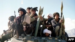 وزارت داخله گفته است که طی ۲۴ ساعت گذشته ۷۳ جنگجوی مخالف مسلح کشته شده اند