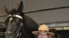 Constable Lynn Willms and her mount Angel are part of the Royal Canadian Mounted Police Musical Ride