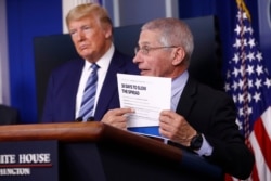President Donald Trump listens as Director of the National Institute of Allergy and Infectious Diseases Dr. Anthony Fauci speaks during a coronavirus task force briefing at the White House, Sunday, April 5, 2020, in Washington.
