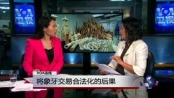VOA连线：将象牙交易合法化的后果