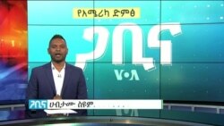 ጋቢና ቪኦኤ