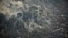 Pakar: Hutan Amazon Terancam Hilang Sepenuhnya Akibat Karhutla 