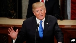 FIlE - In this Jan. 30, 2018 file photo, President Donald Trump delivers his State of the Union address to a joint session of Congress on Capitol Hill in Washington. It’s beginning to look like Congress’ election-year battle over immigration could end up in stalemate or a narrowly focused bill. The kind of broader measure that Trump has proposed is running into trouble. The reasons: Deep gaps between the two parties, internal divisions particularly among Republicans and political incentives that might leave each side content with a minimal compromise or even nothing at all.