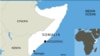 Four Ukrainians on UN Helicopter Seized by Militants in Somalia