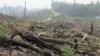 Produsen Kertas Raksasa Janji Hentikan Penebangan Hutan Indonesia