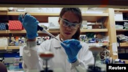 FIA researcher works in a lab at the Duke-NUS Medical School, which is developing a way to track genetic changes that speed testing of vaccines against the coronavirus disease (COVID-19), in Singapore March 23, 2020. (Joseph Campbell/Reuters)