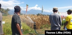 Demonstarasi irigasi menggunakan water gun sprinkler yang dapat menghemat penggunaan air, 15 Agustus 2019. (Foto: VOA/Yoanes Litha)