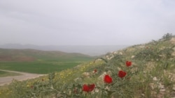 Khanaqin. Road between Hawreen - Maydan