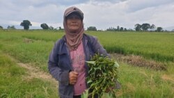 Sumiati Marusin (58) Petani asal desa Toinasa, Kecamatan Pamona Barat, Kabupaten Poso, Sulawesi Tengah. Minggu, (15/11/2020). (Foto: VOA/Yoanes Litha)