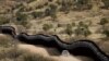 Biden to Return Diverted Border Wall Money, Spend Down Rest 