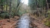 Trump Administration Moves to Withdraw Clean-water Rule