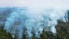 Fires Ravage Brazil’s Pantanal, World’s Largest Wetland 
